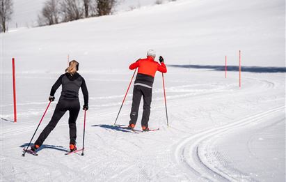Zwei Skifahrer auf einer verschneiten Loipe. Die Sonne scheint und die Umgebung ist klar und winterlich.