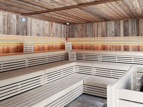 A modern sauna interior with wooden paneling and illuminated benches. The space offers a relaxing atmosphere for wellness and recovery.