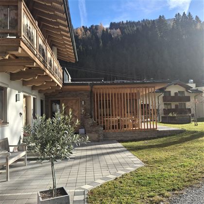 A modern chalet with wooden cladding in the mountains. The outdoor area is well-kept, with a green lawn and a small olive tree.