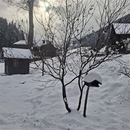 A snowy landscape with a bare tree and a small birdhouse. In the background, some huts and the mountains can be seen.