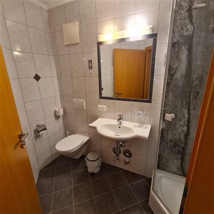 A small bathroom with a sink, a toilet, and a shower. The walls are tiled and there is a large mirror.
