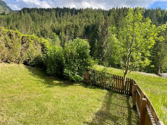 Ein schöner Garten mit grünem Gras und strauchartigen Pflanzen. Im Hintergrund sind Wälder und ein klarer Himmel zu sehen.