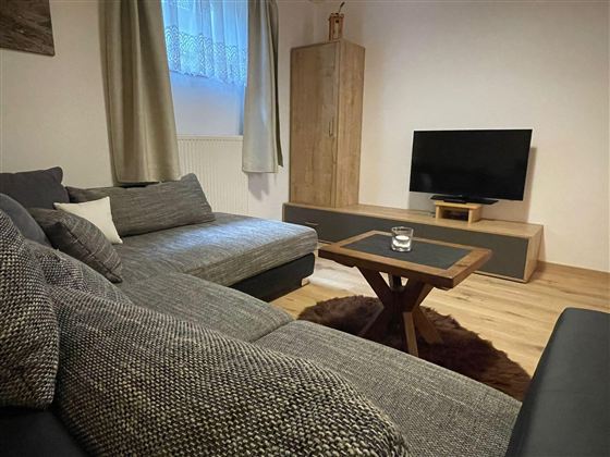 Ein gemütliches Wohnzimmer mit einem grauen Sofa und einem Holztisch. Ein Fernseher steht auf einem Möbelstück im Hintergrund.