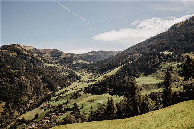 Eine weite, grüne Landschaft mit sanften Hügeln und bewaldeten Bergen. Der Himmel ist klar und die Natur wirkt unberührt.