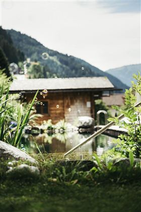 A beautiful garden with a pond and plants. In the background, there is a wooden house and gentle hills.
