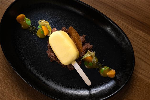 An artistically arranged dessert on a black plate. It consists of a creamy popsicle and colorful garnishes.