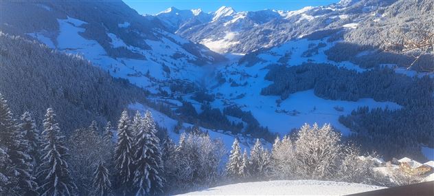 A winter mountain landscape with snow-covered trees and a clear, blue sky. In the background, majestic mountains and a snowy valley can be seen.