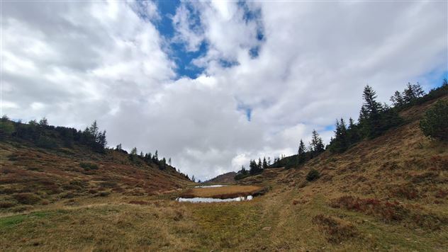 Eine ruhige Landschaft mit sanften Hügeln und Nadelbäumen unter einem wolkigen Himmel. Im Vordergrund ist ein kleiner Teich sichtbar.