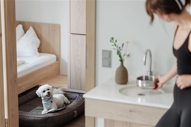 A dog is lying relaxed in its bed in a modern room. In the background, you can see a bed and a person taking care of a sink.