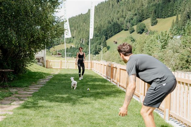 A man and a woman are playing in the garden with a small dog. The surroundings are surrounded by green hills and trees.