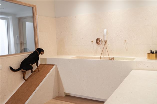 A dog is standing on a ramp in a modern bathroom. The room is bright and minimally designed with a large bathtub.