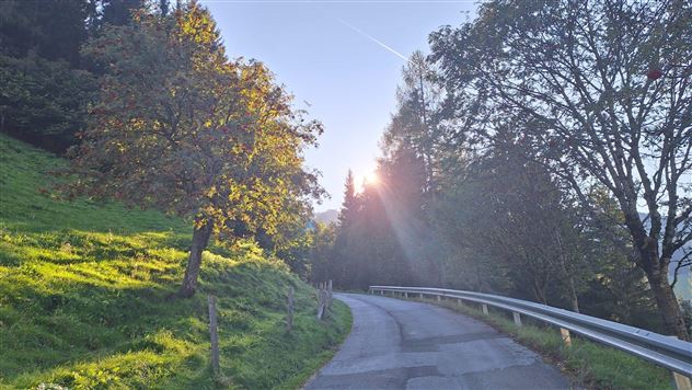 Eine kurvenreiche Straße, umgeben von grünen Wiesen und Bäumen. Die Sonne scheint durch die Bäume und erzeugt eine schöne Lichtstimmung.