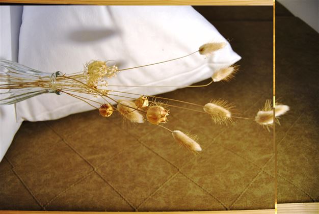 An elegant arrangement of dried flower heads lies on a soft surface. In the background, a pillow and a neutral texture are visible.