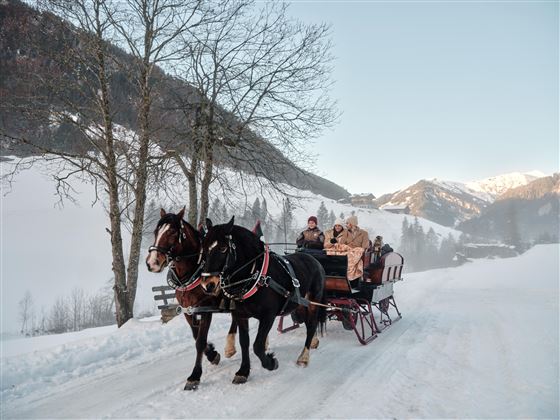 Eine Pferdeschlittenfahrt durch eine verschneite Landschaft. Im Hintergrund sind Berge und Bäume zu sehen.