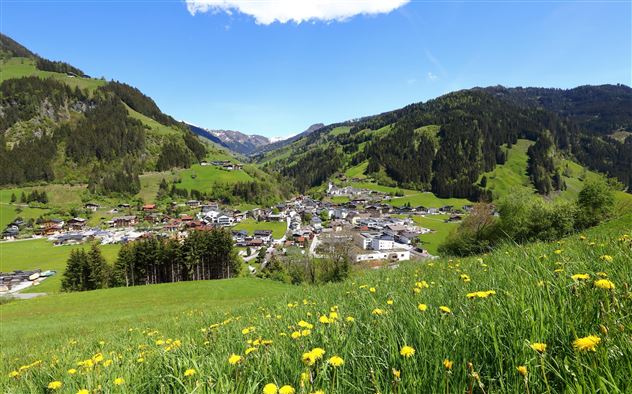 Eine malerische Berglandschaft mit einem kleinen Dorf in einem grünen Tal. Die Wiesen blühen mit bunten Blumen und der Himmel ist klar und blau.