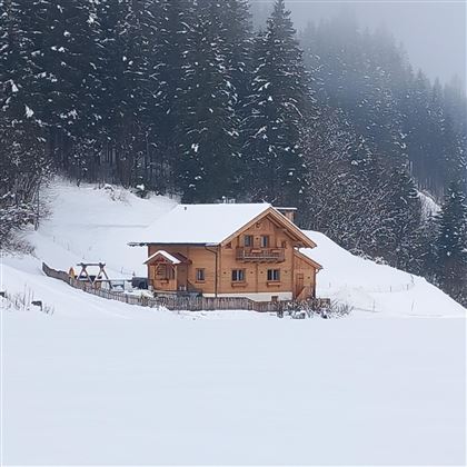 A beautiful wooden house stands in a snow-covered landscape. Surrounded by tall, green fir trees under a gray sky.