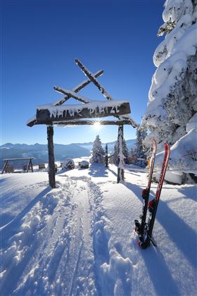 naturplatzl-mit-ski-skigebiet-grossarltal-dorfgast