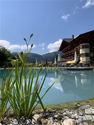 Ein ruhiger Schwimmteich umgeben von grüner Vegetation und felsigem Ufer. Im Hintergrund ist ein ansprechendes Gebäude mit Sonnenschirmen und einem klaren blauen Himmel zu sehen.