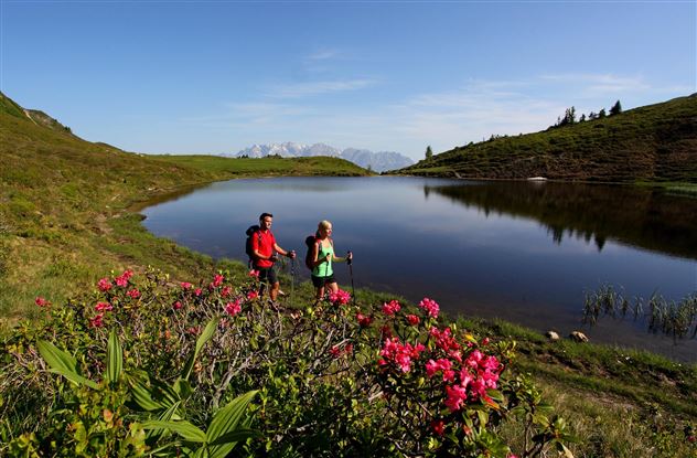 paarseen-sommer-wanderer