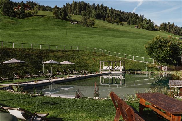 A paved area with a swimming pool, surrounded by green grass and trees. Loungers with umbrellas are ready for relaxation.