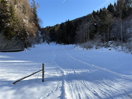 Eine verschneite Landschaft mit einem gefrorenen Weg und dunklen, bewaldeten Bergen im Hintergrund. Der Himmel ist klar und blau, was eine ruhige Winteratmosphäre schafft.