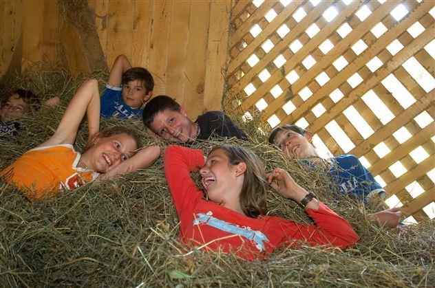 Sleeping in the hay