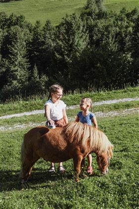 Two girls are standing in a meadow and smiling at each other. Next to them stands a small pony.