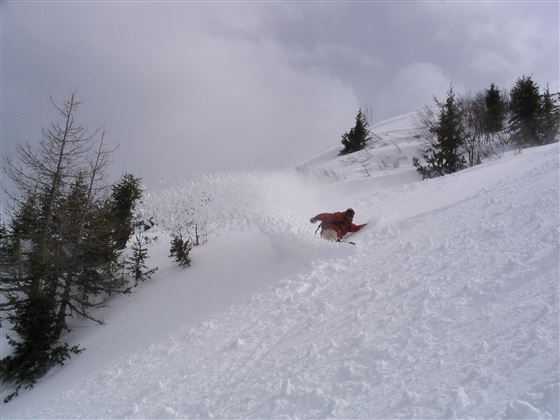 Tiefschnee mit Snowboard