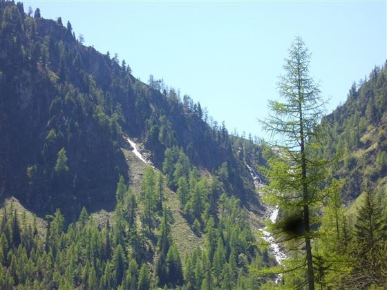 Wasserfall im Schödertal