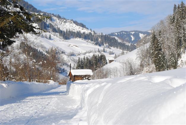 Winterspazierweg direkt vom Haus- entlang vom Bach