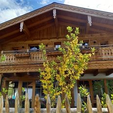 Birnbaum Chalets Grossarl