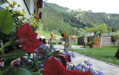 Eine blühende Gartenlandschaft mit roten und blauen Blumen. Im Hintergrund sind sanfte Hügel und Bäume zu sehen.