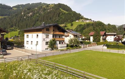 DJI_0230