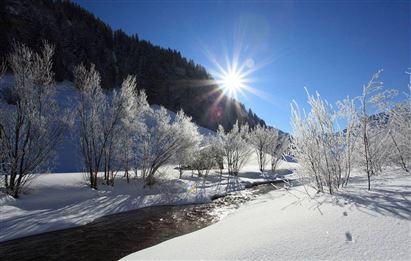 Eine verschneite Landschaft mit frostigen Bäumen und einem klaren blauen Himmel. Die Sonne strahlt über dem friedlichen Fluss.