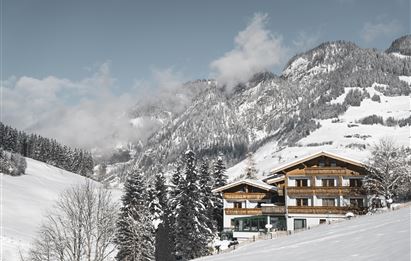 A chalet in a snowy landscape with majestic mountains in the background. The surroundings are peaceful and wintry, perfect for a cozy stay.
