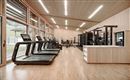 A modern gym with large windows and wooden paneling. Treadmills and exercise equipment are clearly visible.