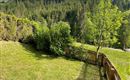 Ein schöner Garten mit grünem Gras und strauchartigen Pflanzen. Im Hintergrund sind Wälder und ein klarer Himmel zu sehen.