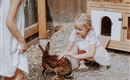 A girl is petting a brown rabbit in an enclosure. Another child is standing nearby and watching the interaction.