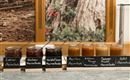 Eine Auswahl an Marmeladen in Gläsern auf einem Tisch. Die Sorten sind Erdbeer, Himbeer, Heidelbeer, Marille, Erdbeer-Mango, Sommerfrucht und Apfel.
