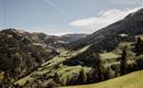 Eine weite, grüne Landschaft mit sanften Hügeln und bewaldeten Bergen. Der Himmel ist klar und die Natur wirkt unberührt.