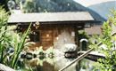A beautiful garden with a pond and plants. In the background, there is a wooden house and gentle hills.