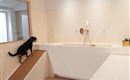 A dog is standing on a ramp in a modern bathroom. The room is bright and minimally designed with a large bathtub.