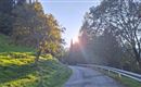 Eine kurvenreiche Straße, umgeben von grünen Wiesen und Bäumen. Die Sonne scheint durch die Bäume und erzeugt eine schöne Lichtstimmung.