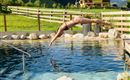 Eine Person springt in einen klaren Pool im Freien. Im Hintergrund sind grüne Wiesen und ein gemütliches Haus zu sehen.