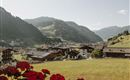 Eine malerische Alpenlandschaft mit blühenden Blumen im Vordergrund. Im Hintergrund sind grüne Hügel und traditionelle Häuser zu sehen.