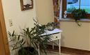 Ein heller Flur mit einer weißen Konsole und Pflanzen in Töpfen. Ein großes Fenster lässt Tageslicht hinein und zeigt einen grünen Außenbereich.
