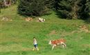 IMG_20200812_075012