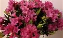 IMG_20220620_210756