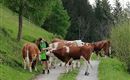 IMG_20230522_191424