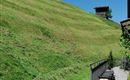 IMG-20231030-WA0225